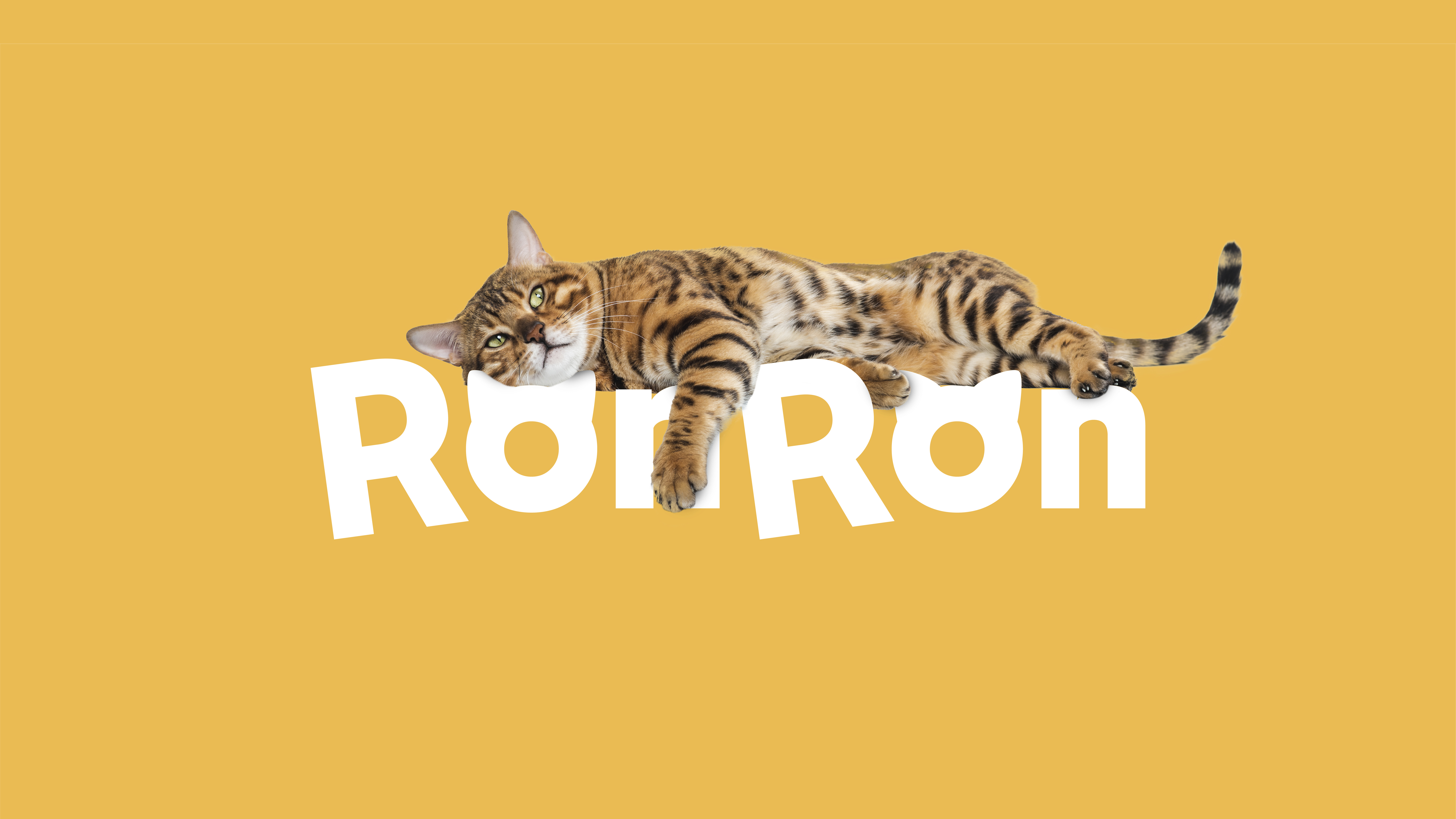 RonRon branding project